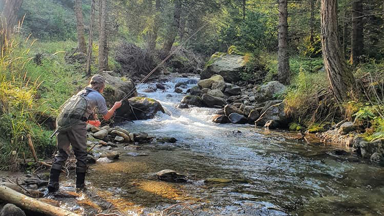 Torrente Barnes – NKBR